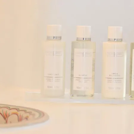 Villa Thelgo Mykonos *